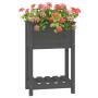 Solid gray pine wood planter 54x34.5x81 cm by vidaXL, Pots and planters - Ref: Foro24-823754, Price: 54,99 €, Discount: %