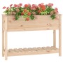 Planter with solid pine wood shelf 111.5x34.5x81 cm by vidaXL, Pots and planters - Ref: Foro24-823766, Price: 97,33 €, Discou...