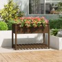 Planter with solid pine wood shelf in brown, 111.5x54x81 cm. by vidaXL, Pots and planters - Ref: Foro24-823790, Price: 97,99 ...