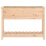 Planter with solid pine wood shelf 111.5x34.5x81 cm by vidaXL, Pots and planters - Ref: Foro24-823766, Price: 97,33 €, Discou...