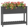 Planter with shelf solid gray pine wood 111.5x34.5x81 cm by vidaXL, Pots and planters - Ref: Foro24-823768, Price: 92,94 €, D...