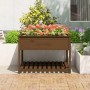 Planter and shelf solid brown pine wood 111.5x111.5x81 cm by vidaXL, Pots and planters - Ref: Foro24-823804, Price: 152,58 €,...