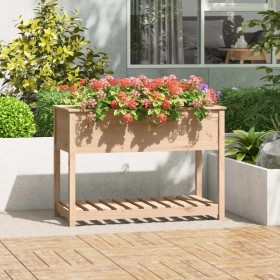 Jardinera con estante de madera maciza de pino 111,5x54x81 cm de vidaXL, Maceteros y jardineras - Ref: Foro24-823787, Precio:...