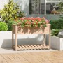 Planter with solid pine wood shelf 111.5x54x81 cm by vidaXL, Pots and planters - Ref: Foro24-823787, Price: 125,17 €, Discoun...