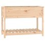 Planter with solid pine wood shelf 111.5x54x81 cm by vidaXL, Pots and planters - Ref: Foro24-823787, Price: 125,17 €, Discoun...