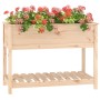 Planter with solid pine wood shelf 111.5x54x81 cm by vidaXL, Pots and planters - Ref: Foro24-823787, Price: 125,17 €, Discoun...