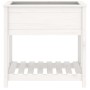 Planter with shelf solid white pine wood 82.5x54x81cm by vidaXL, Pots and planters - Ref: Foro24-823781, Price: 82,21 €, Disc...