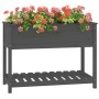 Planter with shelf solid gray pine wood 111.5x54x81 cm by vidaXL, Pots and planters - Ref: Foro24-823789, Price: 87,99 €, Dis...