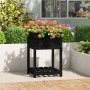 Planter with shelf solid black pine wood 54x54x81 cm by vidaXL, Pots and planters - Ref: Foro24-823777, Price: 64,28 €, Disco...