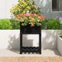 Jardinera con estante madera maciza de pino negro 54x54x81 cm de vidaXL, Maceteros y jardineras - Ref: Foro24-823777, Precio:...