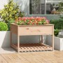 Planter with solid pine wood shelf 111.5x111.5x81 cm by vidaXL, Pots and planters - Ref: Foro24-823801, Price: 127,33 €, Disc...