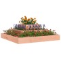 Solid Douglas Fir Wood Planter 80x80x27 cm by vidaXL, Pots and planters - Ref: Foro24-823869, Price: 61,94 €, Discount: %