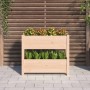 Jardinera de madera maciza de pino 77x25x66 cm de vidaXL, Maceteros y jardineras - Ref: Foro24-823941, Precio: 60,94 €, Descu...