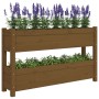 Solid pine wood planter in honey brown color, 112x25x66 cm by vidaXL, Pots and planters - Ref: Foro24-823930, Price: 83,22 €,...