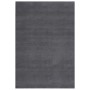 Soft short pile washable anthracite rug 200x290 cm by vidaXL, Rugs - Ref: Foro24-342191, Price: 124,99 €, Discount: %