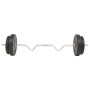 30 kg weight set by vidaXL, free weight - Ref: Foro24-91399, Price: 84,17 €, Discount: %