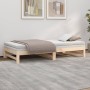 Removable sofa bed solid pine wood 2x(100x200) cm by vidaXL, Beds and slatted bases - Ref: Foro24-823399, Price: 129,25 €, Di...