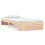 Solid wood bed frame 100x200 cm by vidaXL, Beds and slatted bases - Ref: Foro24-814939, Price: 104,96 €, Discount: %