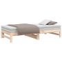 Sofá cama extraíble madera maciza de pino 2x(75x190) cm de vidaXL, Camas y somieres - Ref: Foro24-823419, Precio: 134,75 €, D...