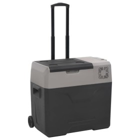 Kühlbox mit Rädern und Griff Polypropylen schwarz und grau 40 L von vidaXL, Kühlschränke - Ref: Foro24-51782, Preis: 248,99 €...