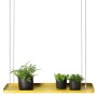 Esschert Design Bandeja colgante para plantas rectangular dorada L de Esschert Design, Bandejas decorativas - Ref: Foro24-441...