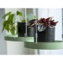 Esschert Design Bandeja colgante para macetas redonda verde S de Esschert Design, Bandejas decorativas - Ref: Foro24-441022, ...