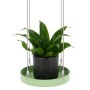 Esschert Design Green Round Hanging Planter Tray S by Esschert Design, Decorative trays - Ref: Foro24-441022, Price: 15,99 €,...