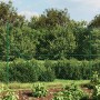 Wire fence with green flange 1.6x25 m by vidaXL, fence panels - Ref: Foro24-153948, Price: 136,09 €, Discount: %