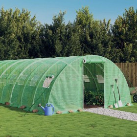 Greenhouse with a green steel structure, 24 m², 6x4x2 m. by vidaXL, Greenhouses - Ref: Foro24-3188062, Price: 320,90 €, Disco...