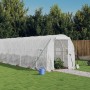 Greenhouse with white steel structure 28 m² 14x2x2 m by vidaXL, Greenhouses - Ref: Foro24-3188033, Price: 395,37 €, Discount: %