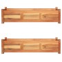 Arriates elevados de jardín 2 pzas madera acacia 100x30x25 cm de vidaXL, Maceteros y jardineras - Ref: Foro24-3057522, Precio...