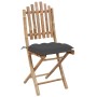 Folding garden chairs with cushions 2 units bamboo by vidaXL, Garden chairs - Ref: Foro24-3064002, Price: 96,99 €, Discount: %