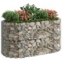 Arriate de gaviones de hierro galvanizado 200x100x100 cm de vidaXL, Maceteros y jardineras - Ref: Foro24-152045, Precio: 89,9...