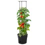 Macetero para tomates polipropileno antracita Ø29,5x115 cm de vidaXL, Maceteros y jardineras - Ref: Foro24-152209, Precio: 29...