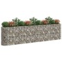 Arriate de gaviones de hierro galvanizado 400x50x100 cm de vidaXL, Maceteros y jardineras - Ref: Foro24-152036, Precio: 144,9...