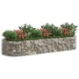 Arriate de gaviones de hierro galvanizado 300x100x50 cm de vidaXL, Maceteros y jardineras - Ref: Foro24-152041, Precio: 84,99...