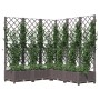 Jardinera con enrejado PP marrón 120x120x121,5 cm de vidaXL, Maceteros y jardineras - Ref: Foro24-318266, Precio: 136,45 €, D...