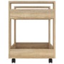 Sonoma oak plywood desk cart 60x45x60 cm by vidaXL, Cars and islands - Ref: Foro24-816603, Price: 46,37 €, Discount: %