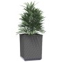 Planters 2 units black polypropylene 30x30x37 cm by vidaXL, Pots and planters - Ref: Foro24-364182, Price: 61,25 €, Discount: %