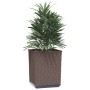 2 brown polypropylene planters 30x30x37 cm by vidaXL, Pots and planters - Ref: Foro24-364184, Price: 47,54 €, Discount: %