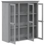 Schrank mit Glastüren BODO massives Kieferngrau von vidaXL, Sideboards - Ref: Foro24-355079, Preis: 268,09 €, Rabatt: %