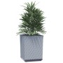 Planters 2 units light gray polypropylene 30x30x37 cm by vidaXL, Pots and planters - Ref: Foro24-364181, Price: 50,77 €, Disc...