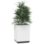 Planters 2 units white polypropylene 30x30x37 cm by vidaXL, Pots and planters - Ref: Foro24-364183, Price: 56,99 €, Discount: %