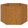 Jardinera de acero corten oxidado 60x60x45 cm de vidaXL, Maceteros y jardineras - Ref: Foro24-823675, Precio: 54,99 €, Descue...