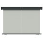 Gray balcony side awning 165x250 cm by vidaXL, Umbrellas - Ref: Foro24-317860, Price: 115,48 €, Discount: %