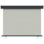 Toldo lateral de balcón gris 122x250 cm de vidaXL, Sombrillas - Ref: Foro24-317848, Precio: 68,15 €, Descuento: %