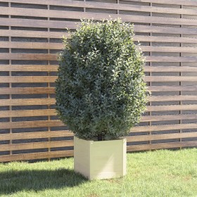 Jardinera de madera maciza de pino blanco 40x40x40 cm de vidaXL, Maceteros y jardineras - Ref: Foro24-810536, Precio: 29,23 €...