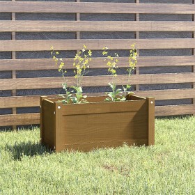 Jardinera de madera maciza de pino marrón miel 60x31x31 cm de vidaXL, Maceteros y jardineras - Ref: Foro24-810710, Precio: 40...