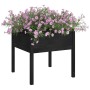 Jardinera de madera maciza de pino negro 70x70x70 cm de vidaXL, Maceteros y jardineras - Ref: Foro24-810817, Precio: 45,99 €,...