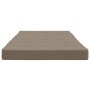 Cojines para tumbona 2 uds tela Oxford gris taupe de vidaXL, Cojines para sillas y sofás - Ref: Foro24-361992, Precio: 46,99 ...